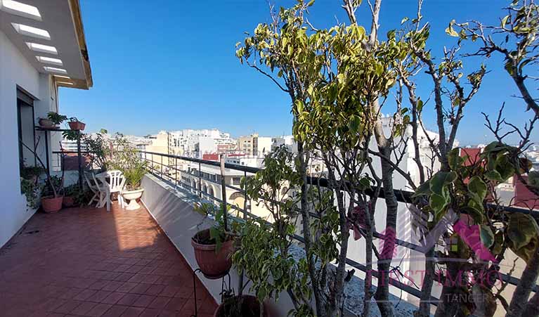 Spacieux Appartement Avec Terrasse À Vendre